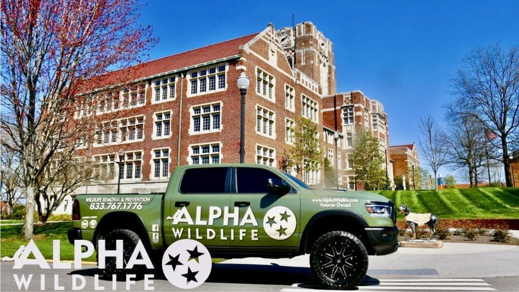 Alpha Wildlife Truck in Knoxville TN